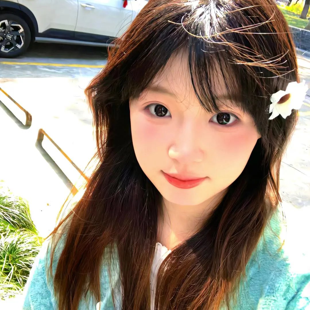 百日蔷薇