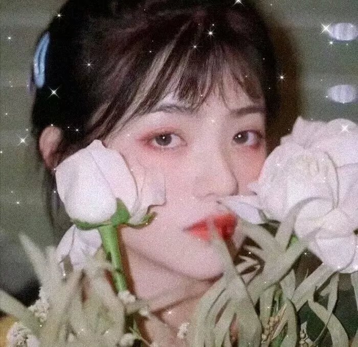 扫黑行动